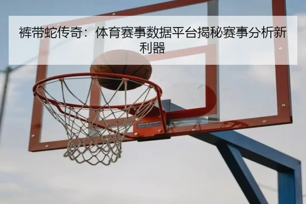 裤带蛇传奇：体育赛事数据平台揭秘赛事分析新利器