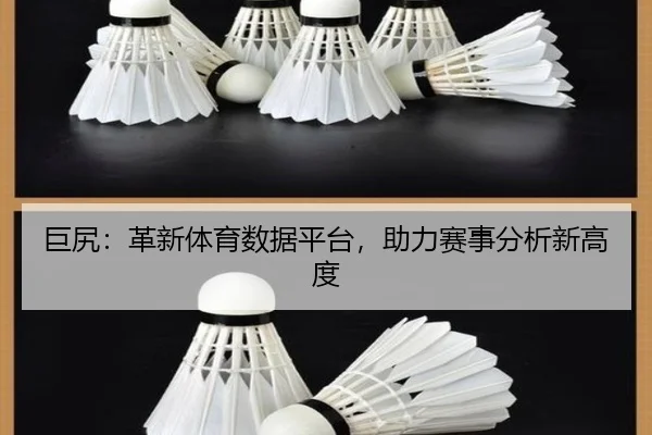 巨尻：革新体育数据平台，助力赛事分析新高度