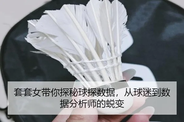 套套女带你探秘球探数据，从球迷到数据分析师的蜕变